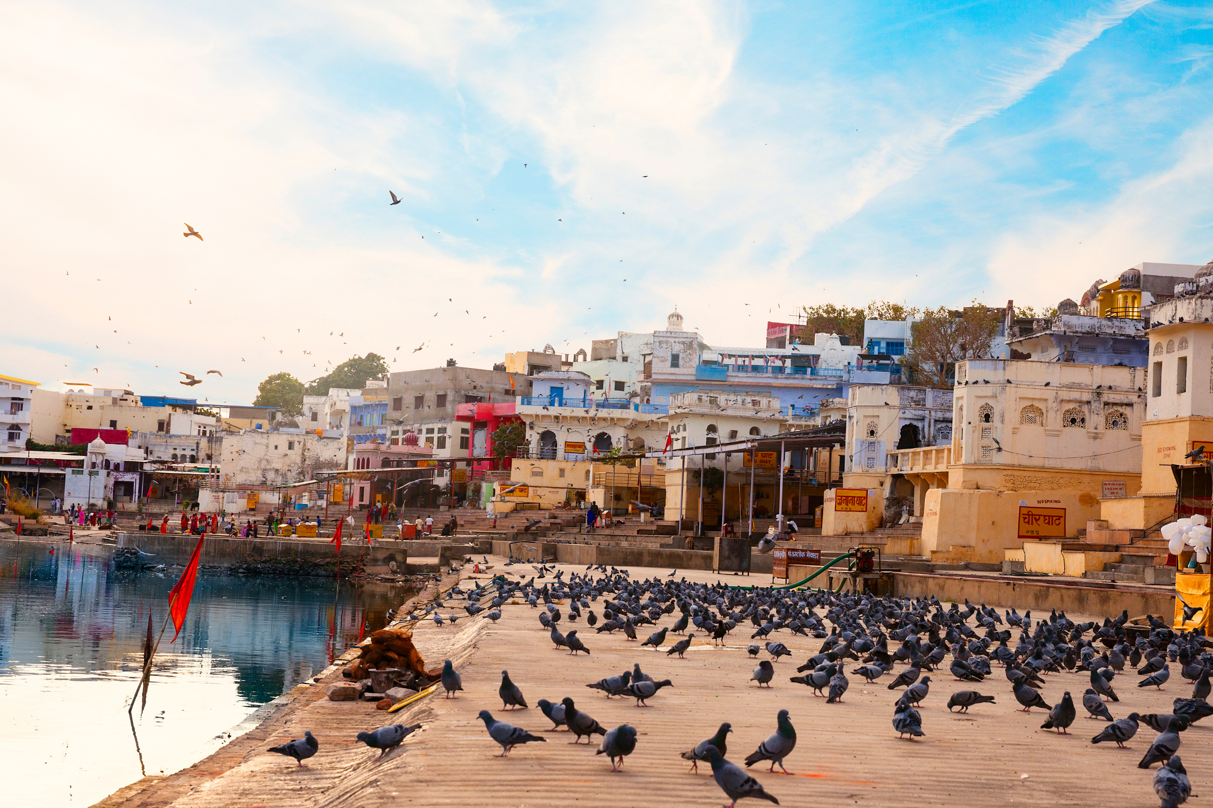 pushkar (3).webp